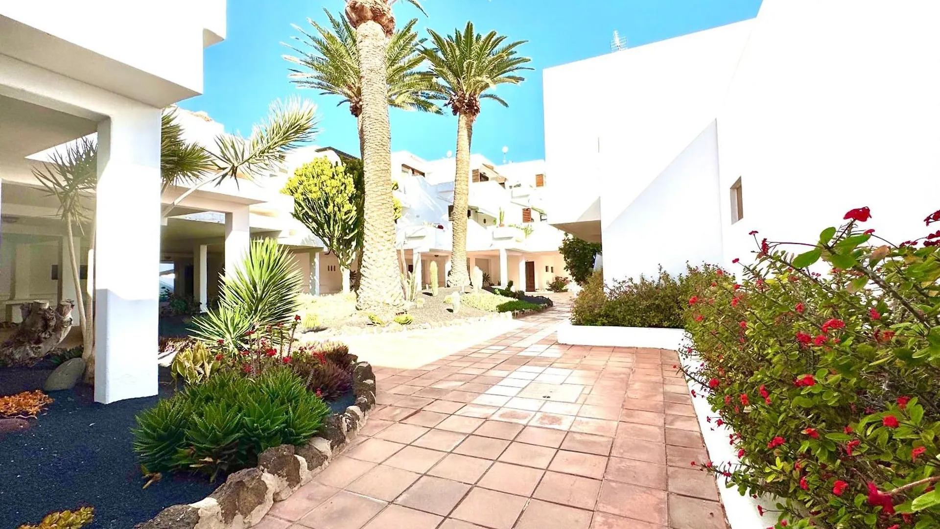 Aloe Vera Apartment Costa Teguise Spain