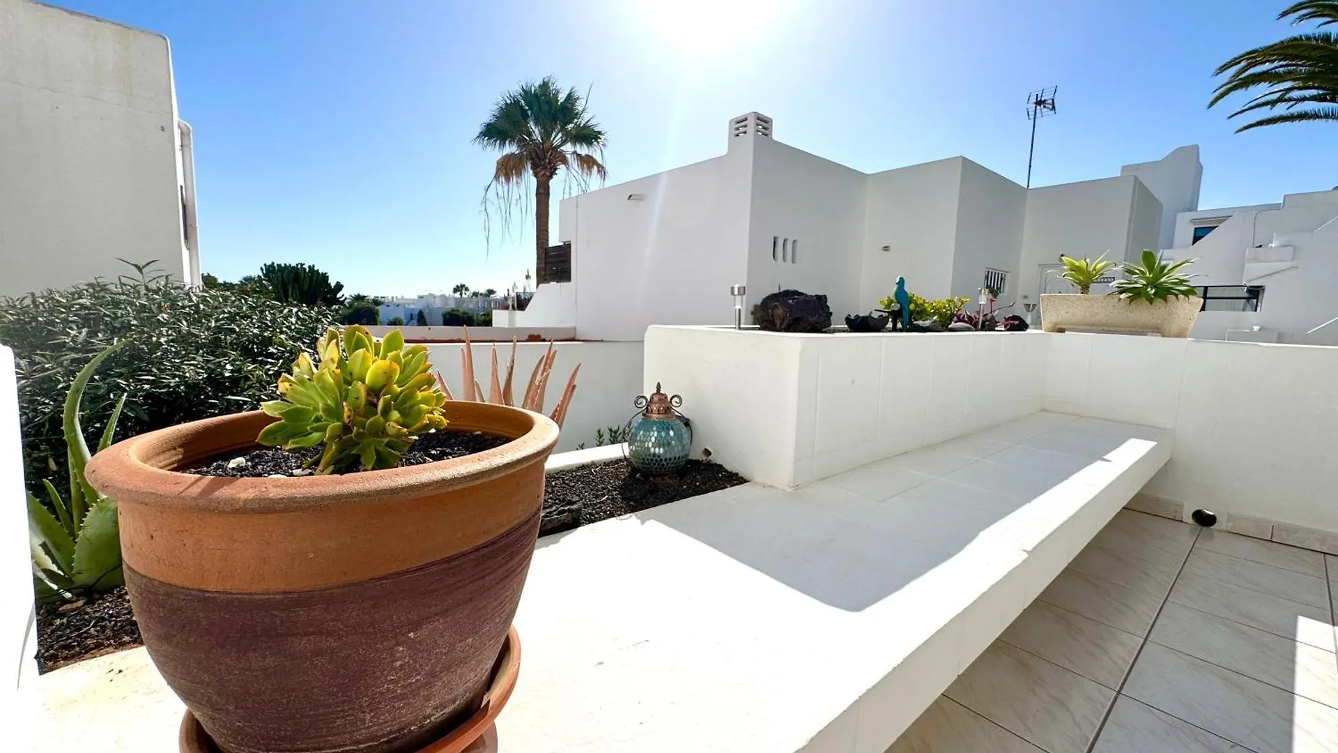 Aloe Vera Apartment Costa Teguise